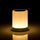 Portable Touch Lamp Bluetooth Speaker | Smart Touch Night Light Desk Lamp Color Changing